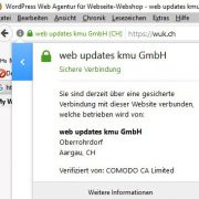 web updates kmu GmbH-wuk-WordPress und SEO Agentur - wuk-https- 2