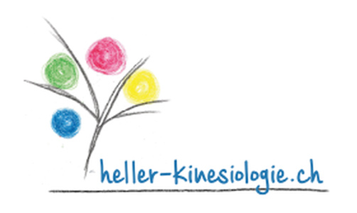 web updates kmu GmbH-wuk-WordPress und SEO Agentur - heller-kinesiologie-logo